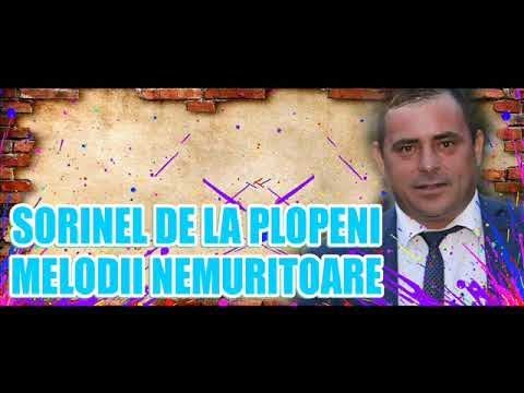 MELODII NEMURITOARE COLAJ CU SORINEL DE LA PLOPENI