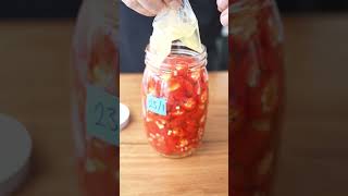 Fermented chili sauce 🌶️ #shorts