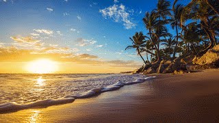 Calm Background Relaxing Music with Ocean and  Bird Sounds
