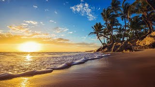 Calm Background Relaxing Music with Ocean and  Bird Sounds