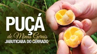 Miniatura do vídeo