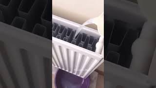 Petekler Nasıl Temizlenir ??
