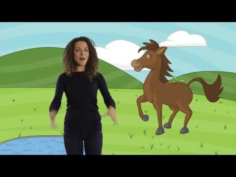 The Farm Animals in Spanish