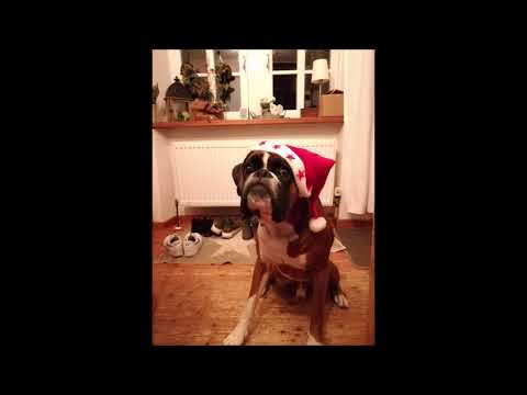 DJ Quex (Official Audio|30.5.2018)