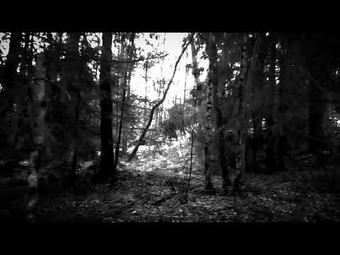 Vananidr - Bleak and Desolate
