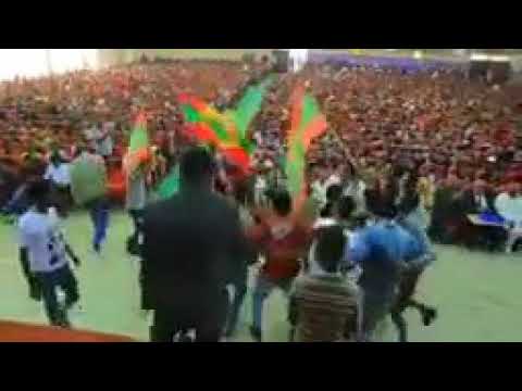 Oromo phobia continue to freedom