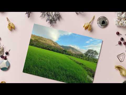 ขายที่ดิน 9 ไร่ ติดภูเขาช่องมะเฟือง หนองรี ชลบุรี สวยมาก วิวภูเขา 180 องศา, ชลบุรี, ประชาร่วมใจ, หนองรี, เมืองชลบุรี, ชลบุรี, 14,400 ตร.ม., ที่ดิน ขาย, โดย ชื่นศิกานต์ ภูเบศพุฒิพัฒน์ คุณหญิง, 10880530 - DDproperty.com