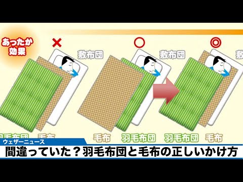 冬に鳥に餌を与えるにはどうすればよいですか？羽毛をより良くケアするために避けるべき間違い  庭園