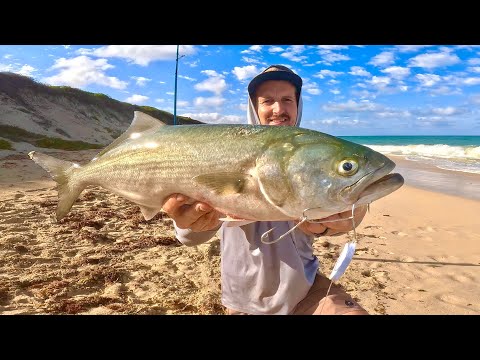 Beach Fishing Tailor WHY didn't I try this Rig sooner !?