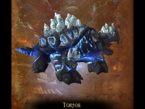 How To: Tortos - Throne of Thunder - 10 man normal