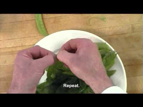 download lagu mp3 mp4 How To Prepare Snow Peas, download lagu How To Prepare Snow Peas gratis, unduh video klip How To Prepare Snow Peas