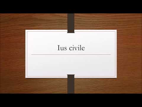 DIRITTO ROMANO lezione 7 GLI SCHIAVI