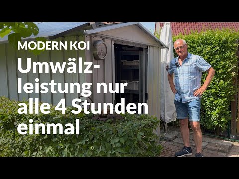 Uwe's Oasis filter is operating at its limits | Modern Koi Blog #7863