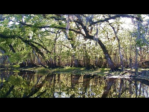 Delius: By the River - The Florida Suite.
