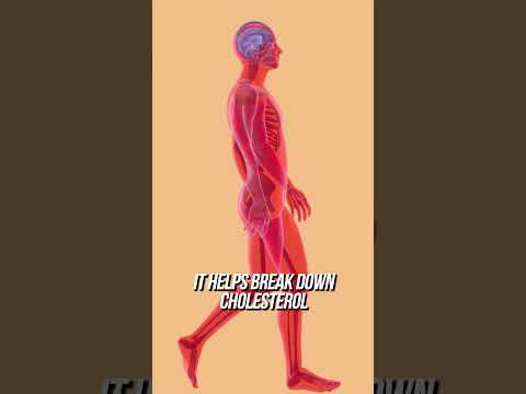 The Ultimate Guide to Eggs: Why You Need to Eat Them!