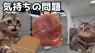 【猫ミーム】たまに神経質になってしまう事・・・葬儀社にアルバイトとして勤めていたお話その66
