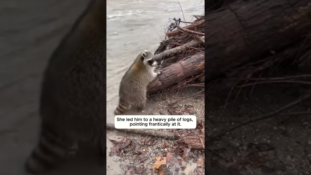 She Begged On The Road But No One Stopped 💔 #shorts