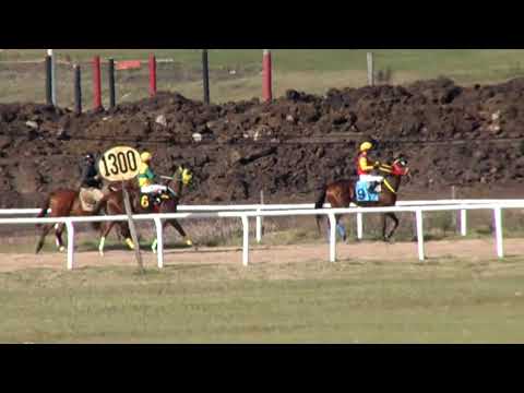 CARRERAS DEL SINT FLORIDA  210603 c02 1° LITTLE COIN