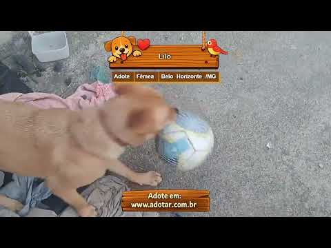 Vídeo de Lilo
