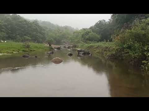 "Río Grande" Camino a Vilismán Departamento El Alto Catamarca 🇦🇷🌵🦌