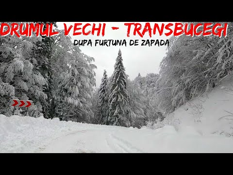 Drumul vechi de iarna - Transbucegi - Moroeni - Sanatoriu - Lacul Bolboci