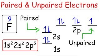 How To Determine The Number of Paired and Unpaired Electrons
