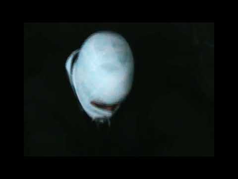 DAYLUS IVERSON - SONDER (FEAT. DENIMADIC) [OFFICIAL VIDEO]