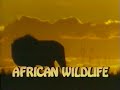 National Geographic African Wildlife 1980