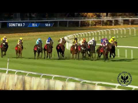 Dzień 42 - (03.11.2024) Tor Służewiec