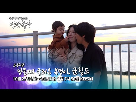 비디오 3