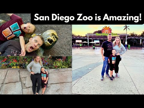 San Diego Zoo Full Tour, California // Best Park for Walking Tour