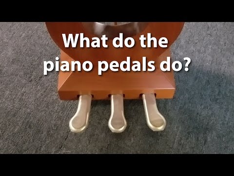 What do the pedals on a piano do? | Cunningham Piano Company