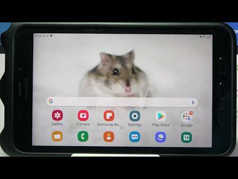 How to Change Keyboard Theme in SAMSUNG Galaxy Tab Active 2 – Customize Keyboard