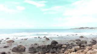 Diamond Incarnation - Forever One Moment (永遠一瞬間) [Trance Baby Meow (勸世寶貝) Cover]