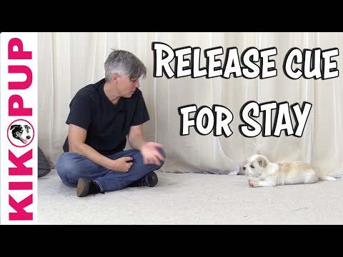 What is Clicker Training