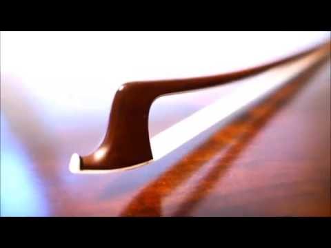 トゥジャ「ブラバント」 植物