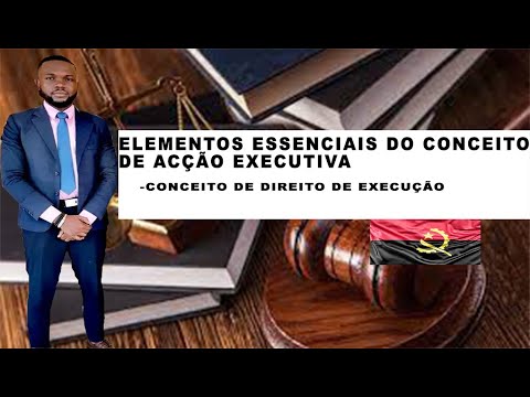 Essential Elements of the Concept of Executive Action/Civil Procedure II