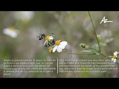 Surja el Fet'h-Abdullah Ziba