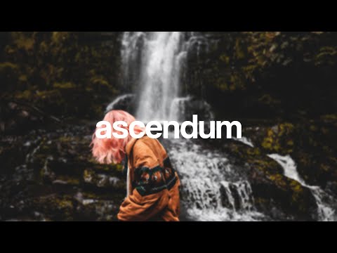 TRIBE MAFIA X JON’RE - PLUG LOVE