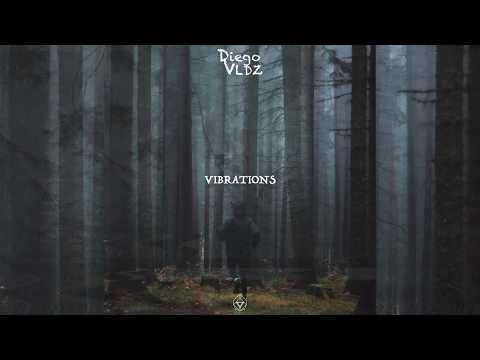 Diego VLDZ - Vibrations