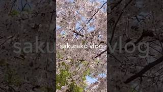 sakurako vlog🌸