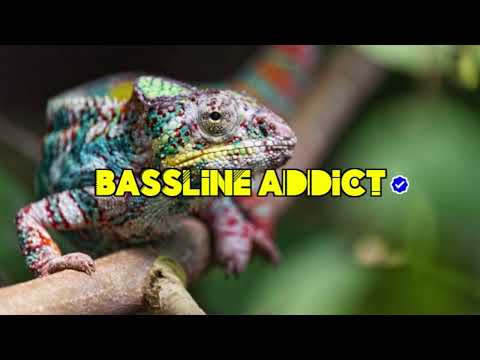 Freddo Ft. Nicole Marie - Crazy Over You│BasslineAddict
