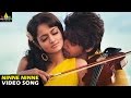Adda Songs | Ninne Ninne Video Song | Sushanth, Shanvi | Sri Balaji Video