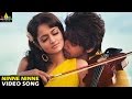 Adda Songs Ninne Ninne Video Song Sushanth Shanvi Sri Balaji Video