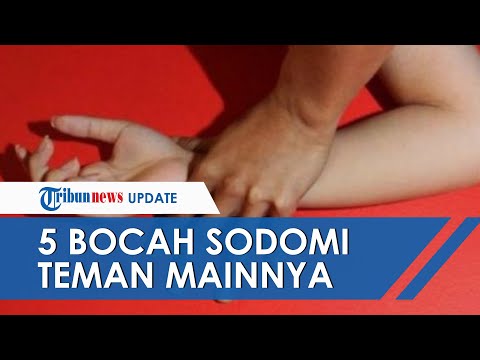 Soal 5 Bocah Disodomi Teman Mainnya Sendiri, Praktikkan Film Porno Sesama Jenis, Ini Sikap Kak Seto