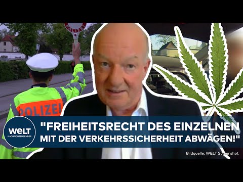 CANNABIS AM STEUER: Suchtforscher "Unmöglich, THC-Grenzwert zu bestimmen!" Kiffen und Autofahren!