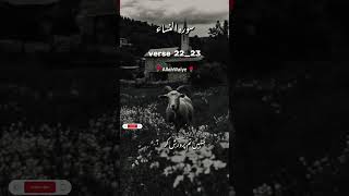 Download lagu Surat-un-Nissa #bayan #quranictranslation #allah #shortsfeed #shorts mp3 Download lagu Surat-un-Nissa #bayan #quranictranslation #allah #shortsfeed #shorts mp3