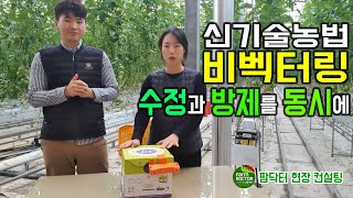 토마토 자연수정과 병해충 방제를 동시에!! 수정벌, 뒤영벌, 에코벌 비벡터링 농법