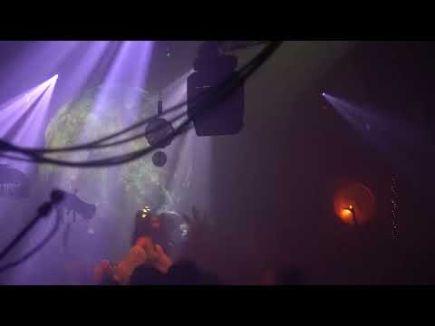 deer jade at wild as the moon from the gardens of babylon