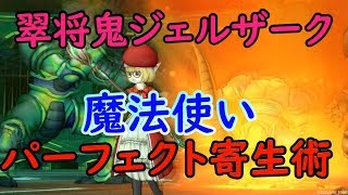 ドラクエ10実況＃46 聖守護者第３弾ジェルザークが登場！魔法使いの立ち回りを徹底解説！！